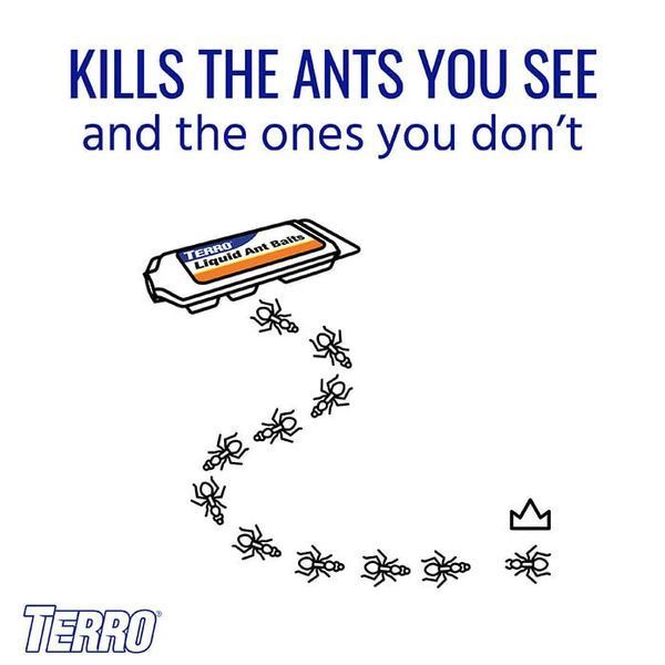Фото Засіб від мурах Terro T300B Liquid Ant Killer. Станції приманка. Терро від мурах. Знищує колонію. Набір 4 штуки 00009,