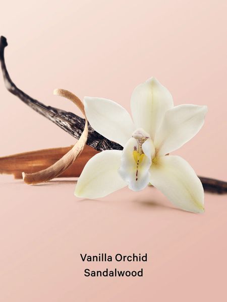 Фото Лосьйон для тіла Victoria's Secret Vanilla Orchid Sandalwood Hydrating Body Lotion 10073,